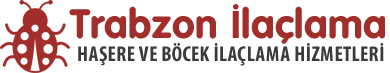 Trabzon İlaçlama Firması